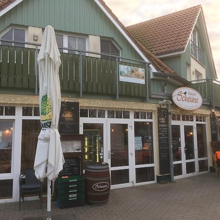 Fewo II Villa Nicole Hafenstrasse 37 Zingst Kültér fotó