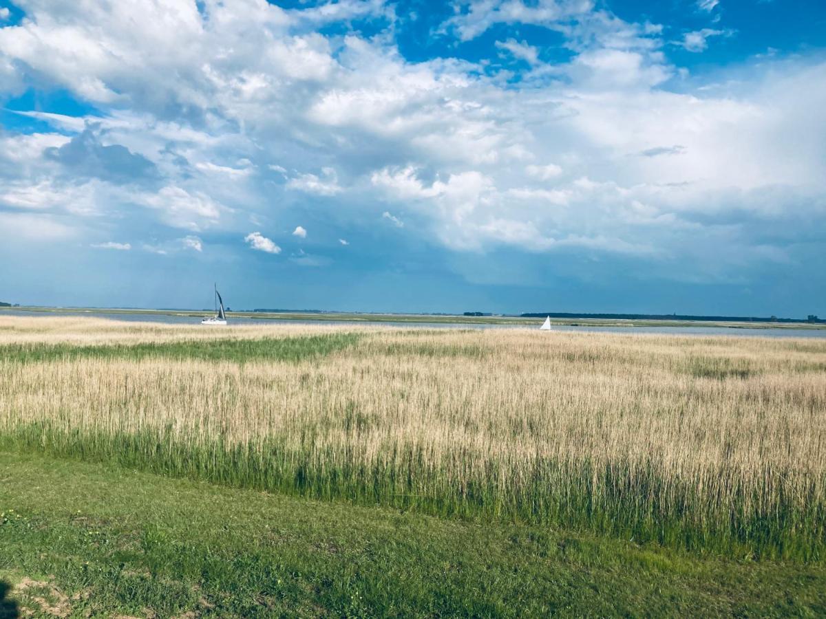 Fewo II Villa Nicole Hafenstrasse 37 Zingst Kültér fotó